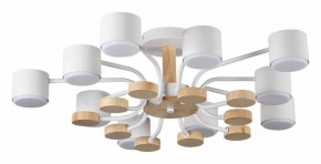 Потолочная люстра Lumion Rondo 8196/10C в Сургуте - surgut.ok-mebel.com | фото