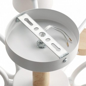 Потолочная люстра Lumion Rondo 8196/10C в Сургуте - surgut.ok-mebel.com | фото 6