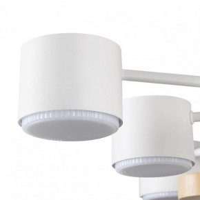 Потолочная люстра Lumion Rondo 8196/10C в Сургуте - surgut.ok-mebel.com | фото 7