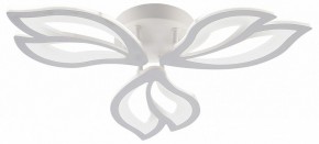 Потолочная люстра Natali Kovaltseva FORTUNA LED LAMPS 81107/2C в Сургуте - surgut.ok-mebel.com | фото