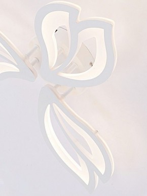 Потолочная люстра Natali Kovaltseva FORTUNA LED LAMPS 81107/2C в Сургуте - surgut.ok-mebel.com | фото 11