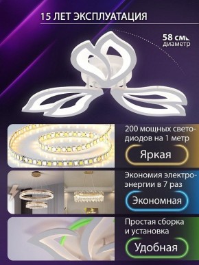 Потолочная люстра Natali Kovaltseva FORTUNA LED LAMPS 81107/2C в Сургуте - surgut.ok-mebel.com | фото 6