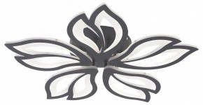 Потолочная люстра Natali Kovaltseva FORTUNA LED LAMPS 81107/5C в Сургуте - surgut.ok-mebel.com | фото