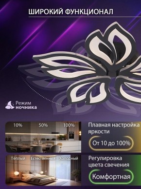 Потолочная люстра Natali Kovaltseva FORTUNA LED LAMPS 81107/5C в Сургуте - surgut.ok-mebel.com | фото 6