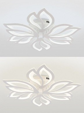 Потолочная люстра Natali Kovaltseva FORTUNA LED LAMPS 81107/6C в Сургуте - surgut.ok-mebel.com | фото 4