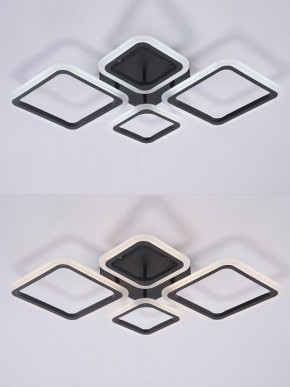 Потолочная люстра Natali Kovaltseva OPTI LED LAMPS 81108/2C в Сургуте - surgut.ok-mebel.com | фото 4