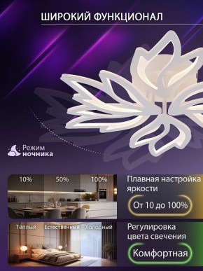 Потолочная люстра Natali Kovaltseva RIF LED LAMPS 81118/5C в Сургуте - surgut.ok-mebel.com | фото 6