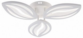Потолочная люстра Natali Kovaltseva SM LED LAMPS 81456 в Сургуте - surgut.ok-mebel.com | фото