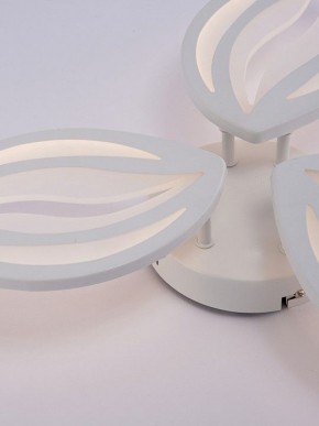 Потолочная люстра Natali Kovaltseva SM LED LAMPS 81456 в Сургуте - surgut.ok-mebel.com | фото 9