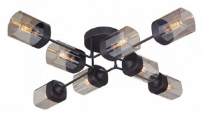 Потолочная люстра Vitaluce 4889 V4889-1/8PL в Сургуте - surgut.ok-mebel.com | фото