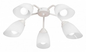 Потолочная люстра Vitaluce V31950 V31950/5PL в Сургуте - surgut.ok-mebel.com | фото