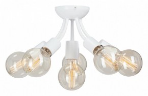 Потолочная люстра Vitaluce V3927 V3927-0/6PL в Сургуте - surgut.ok-mebel.com | фото