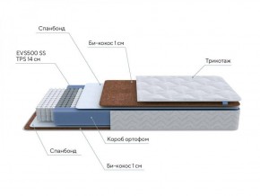 PROxSON Матрас Active F Roll (Ткань Трикотаж Эко) 120x200 в Сургуте - surgut.ok-mebel.com | фото 6