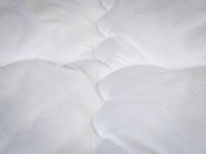 PROxSON Одеяло классическое PROSON (Стеганное полотно) 172x200 в Сургуте - surgut.ok-mebel.com | фото 4