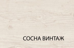 Шкаф 2D1S, MAGELLAN, цвет Сосна винтаж в Сургуте - surgut.ok-mebel.com | фото 3