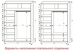 Шкаф-купе 1600 серии SOFT D1+D3+B2+PL1 (2 ящика+1штанга) профиль «Графит» в Сургуте - surgut.ok-mebel.com | фото 6