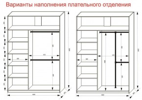 Шкаф-купе 1600 серии SOFT D6+D4+B2+PL2 (2 ящика+1штанга+1 полка) профиль «Капучино» в Сургуте - surgut.ok-mebel.com | фото 9