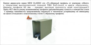 Шкаф-купе 1700 серии NEW CLASSIC K3+K3+B2+PL1 (2 ящика+1 штанга) профиль «Капучино» в Сургуте - surgut.ok-mebel.com | фото 17