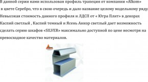 Шкаф-купе 2250 серии SILVER S3+S1+S3Z B22+PL2 (по 2 ящика лев/прав+1штанга+1 полка) профиль «Серебро» в Сургуте - surgut.ok-mebel.com | фото 4