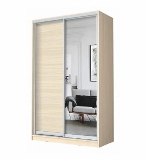 Шкаф-купе ХИТ 22-4-12/2-15 (420) в Сургуте - surgut.ok-mebel.com | фото 7