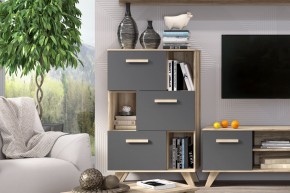 Шкаф низкий с нишами Вега Скандинавия в Сургуте - surgut.ok-mebel.com | фото 6
