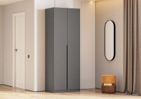 Шкаф платяной Даиго в Сургуте - surgut.ok-mebel.com | фото 3