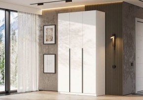 Шкаф платяной Даиго в Сургуте - surgut.ok-mebel.com | фото 3