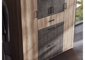 Шкаф платяной Паркинс в Сургуте - surgut.ok-mebel.com | фото 3