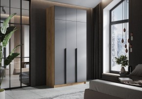 Шкаф платяной Широн в Сургуте - surgut.ok-mebel.com | фото 4