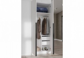 Шкаф платяной Широн в Сургуте - surgut.ok-mebel.com | фото 3