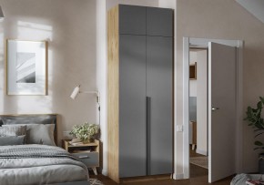 Шкаф платяной Широн в Сургуте - surgut.ok-mebel.com | фото 4