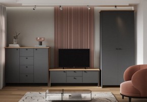 Шкаф платяной Теодора в Сургуте - surgut.ok-mebel.com | фото 3