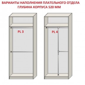 Шкаф распашной серия «ЗЕВС» (PL3/С1/PL2) в Сургуте - surgut.ok-mebel.com | фото 10