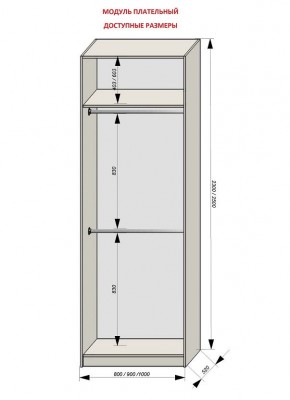 Шкаф распашной серия «ЗЕВС» (PL3/С1/PL2) в Сургуте - surgut.ok-mebel.com | фото 12