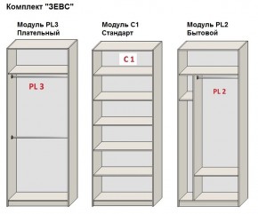 Шкаф распашной серия «ЗЕВС» (PL3/С1/PL2) в Сургуте - surgut.ok-mebel.com | фото 2