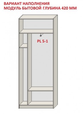 Шкаф распашной серия «ЗЕВС» (PL3/С1/PL2) в Сургуте - surgut.ok-mebel.com | фото 4