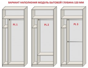 Шкаф распашной серия «ЗЕВС» (PL3/С1/PL2) в Сургуте - surgut.ok-mebel.com | фото 5