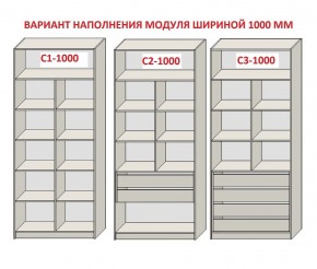 Шкаф распашной серия «ЗЕВС» (PL3/С1/PL2) в Сургуте - surgut.ok-mebel.com | фото 7