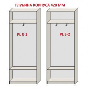 Шкаф распашной серия «ЗЕВС» (PL3/С1/PL2) в Сургуте - surgut.ok-mebel.com | фото 8