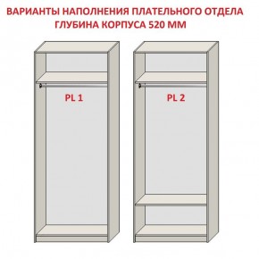 Шкаф распашной серия «ЗЕВС» (PL3/С1/PL2) в Сургуте - surgut.ok-mebel.com | фото 9