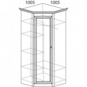 Шкаф угловой №662 "Флоренция" Фасад глухой (угол 1005*1005) Дуб оксфорд в Сургуте - surgut.ok-mebel.com | фото 3