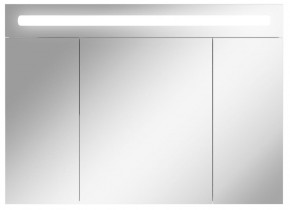 Шкаф-зеркало Аврора 100 с подсветкой LED Домино (DV8012HZ) в Сургуте - surgut.ok-mebel.com | фото