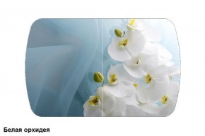 Стол Бостон (900*600) опоры Брифинг в Сургуте - surgut.ok-mebel.com | фото 2