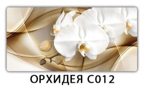 Стол раздвижной Трилогия с фотопечатью Орхидея C012 в Сургуте - surgut.ok-mebel.com | фото 13