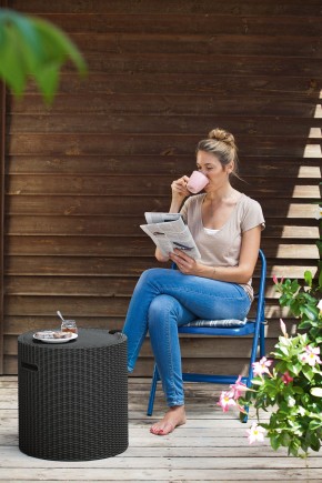 Столик-холодильник Кул-Стул (Cool stool) графит в Сургуте - surgut.ok-mebel.com | фото