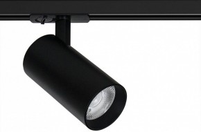 Светильник на штанге Arte Lamp Bene A1947PL-1BK в Сургуте - surgut.ok-mebel.com | фото