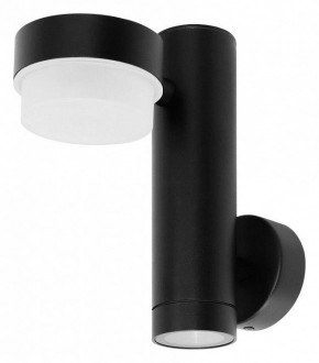 Светильник на штанге Arte Lamp Budapest A2362AL-2BK в Сургуте - surgut.ok-mebel.com | фото