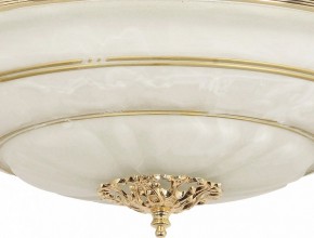 Светильник на штанге Arti Lampadari Pavia Pavia E 1.13.P40 G в Сургуте - surgut.ok-mebel.com | фото 3