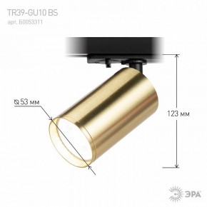 Светильник на штанге Эра  TR39-GU10 BS в Сургуте - surgut.ok-mebel.com | фото 6