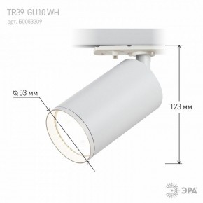 Светильник на штанге Эра  TR39-GU10 WH в Сургуте - surgut.ok-mebel.com | фото 7